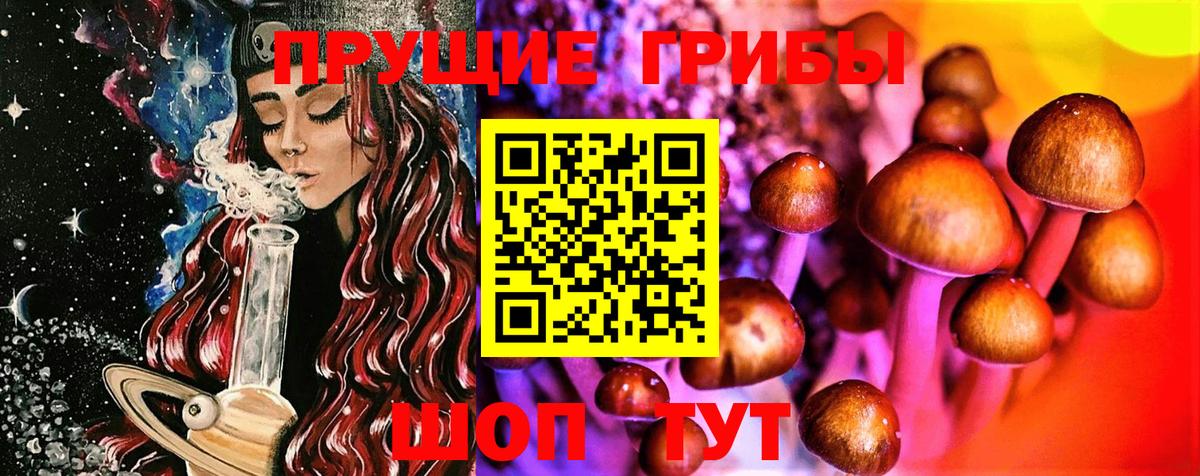Галлюциногенные грибы GOLDEN TEACHER  Вход с VPN  Тобольск 